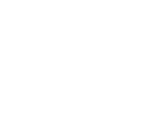 logoWhIte